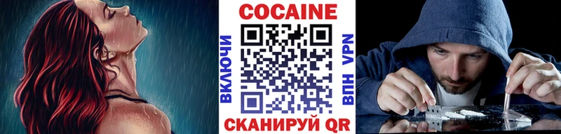 COCAIN FishScale  купить наркоту  Усть-Джегута 