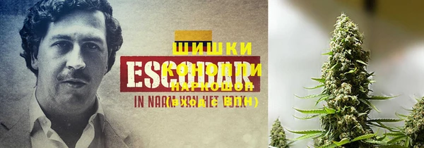 скорость Аркадак