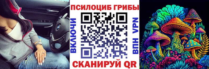 Галлюциногенные грибы Psilocybe  купить  сайты  Усть-Джегута 